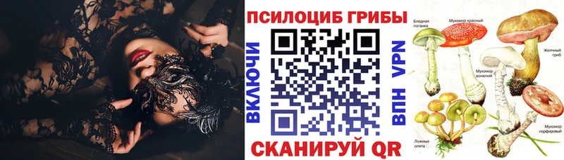 Купить где  Отрадная  Галлюциногенные грибы Magic Shrooms