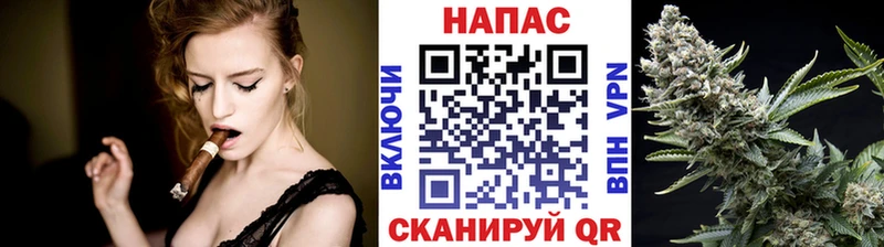 МАРИХУАНА семена  Купить закладки  Отрадная 